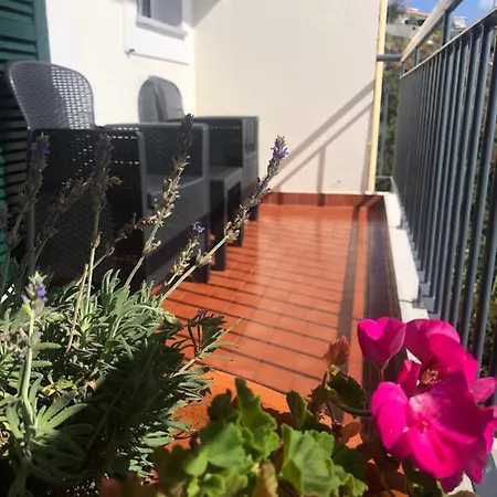 Sunshine Gaula