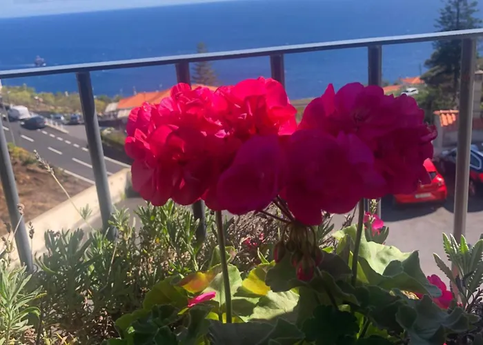 Em Casa Longe De Casa, Tao Bom! Homestay Gaula