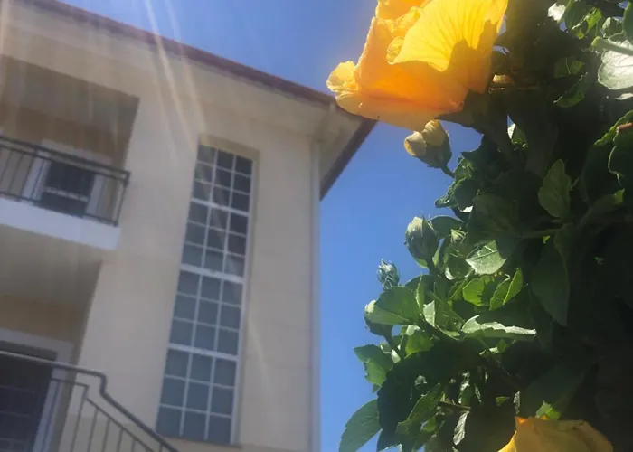 Em Casa Longe De Casa, Tao Bom! *