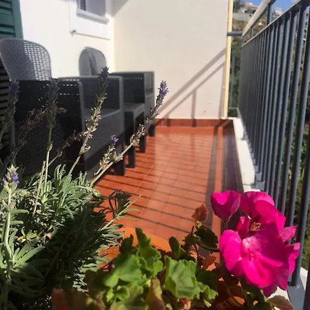 Em Casa Longe De Casa, Tao Bom!