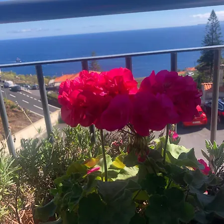 Sunshine Alloggio in famiglia Gaula