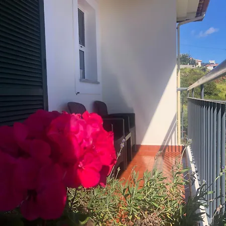 Em Casa Longe De Casa, Tao Bom! Gaula