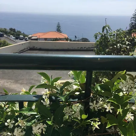 Em Casa Longe De Casa, Tao Bom! * 加乌拉