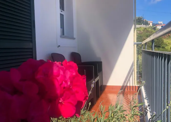 Em Casa Longe De Casa, Tao Bom! Gaula