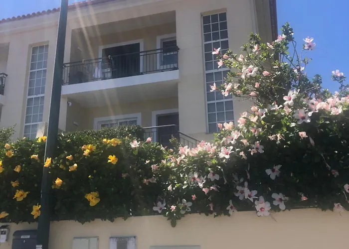 Em Casa Longe De Casa, Tao Bom! Gaula