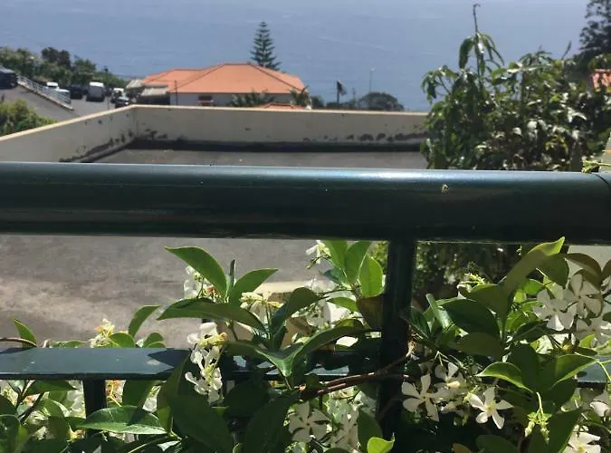 Em Casa Longe De Casa, Tao Bom! * Gaula